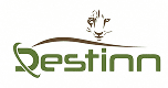 Destinn Dhela Logo